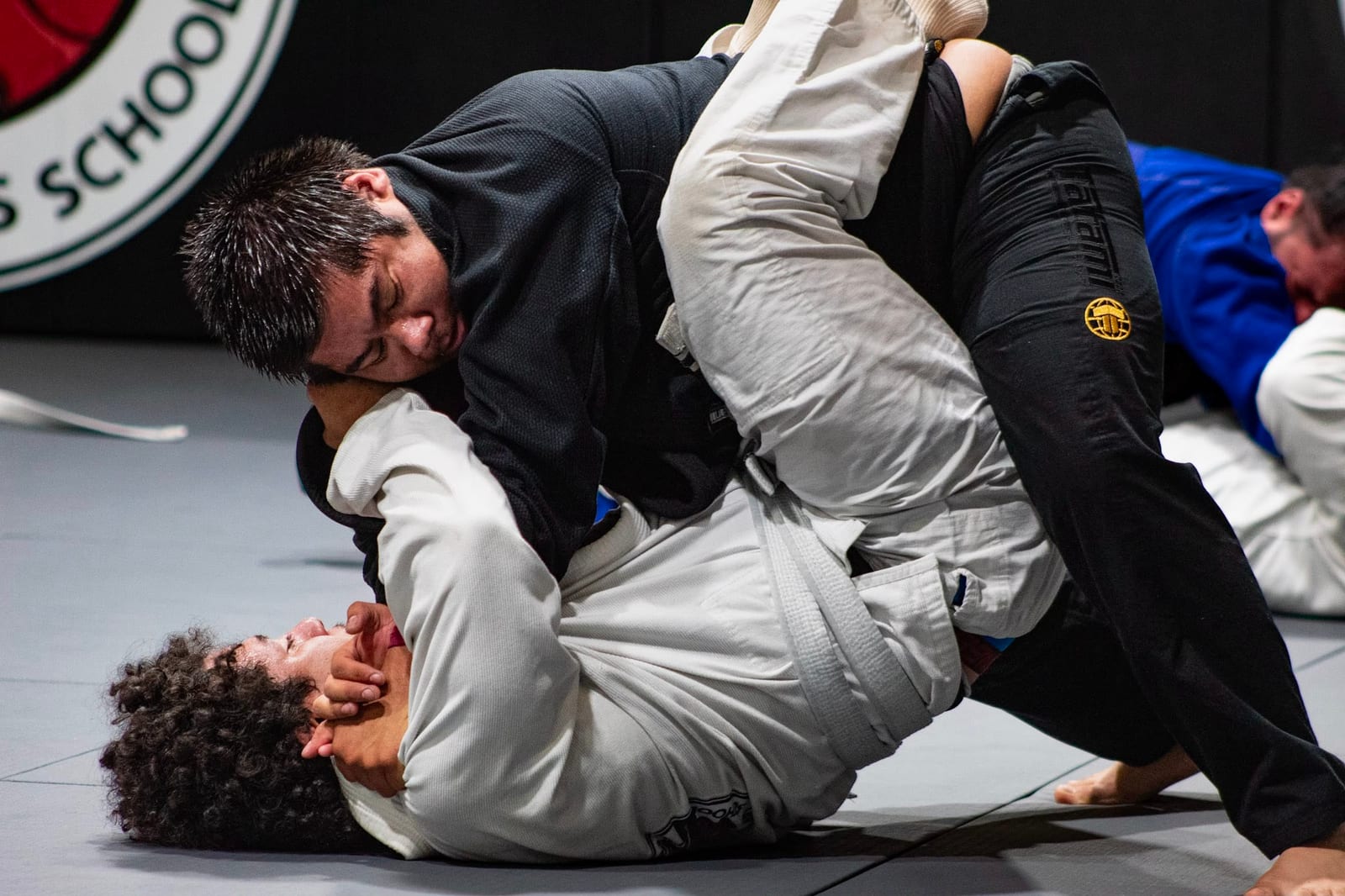 Adult Jiu-Jitsu
